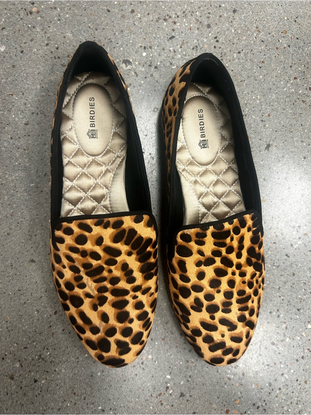 Birdies leopard